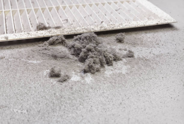Best Best Air Duct Cleaning Company  in Killen, AL