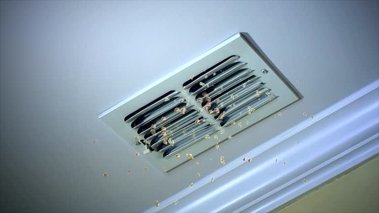 Best Affordable Air Duct Cleaning  in Killen, AL