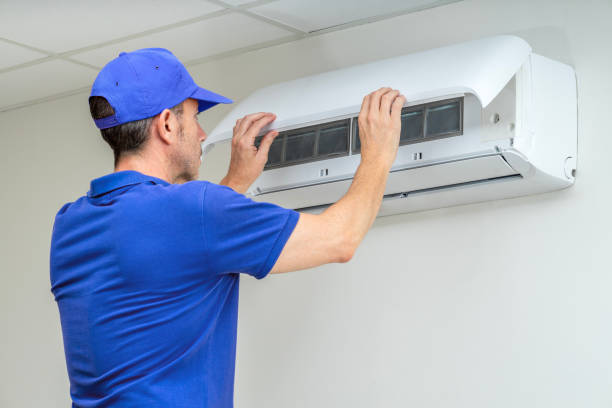 Air Duct Mold Removal in Killen, AL