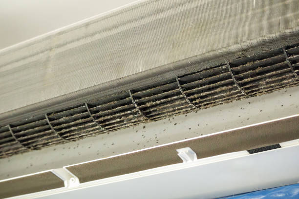 Best Residential Air Duct Cleaning  in Killen, AL